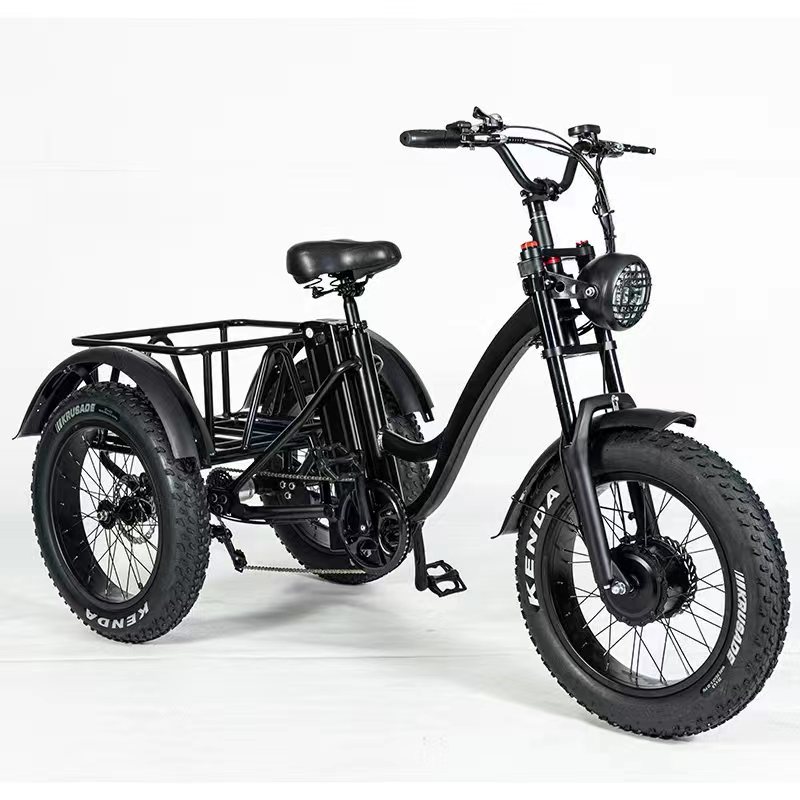 20" E-Tricycle Fat Tire Tyre 48V 500W Front Drive Electric Trike with 48V 10ah Battery Outside Frame Body