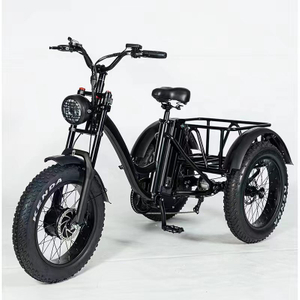 20" E-Tricycle Fat Tire Tyre 48V 500W Front Drive Electric Trike with 48V 10ah Battery Outside Frame Body